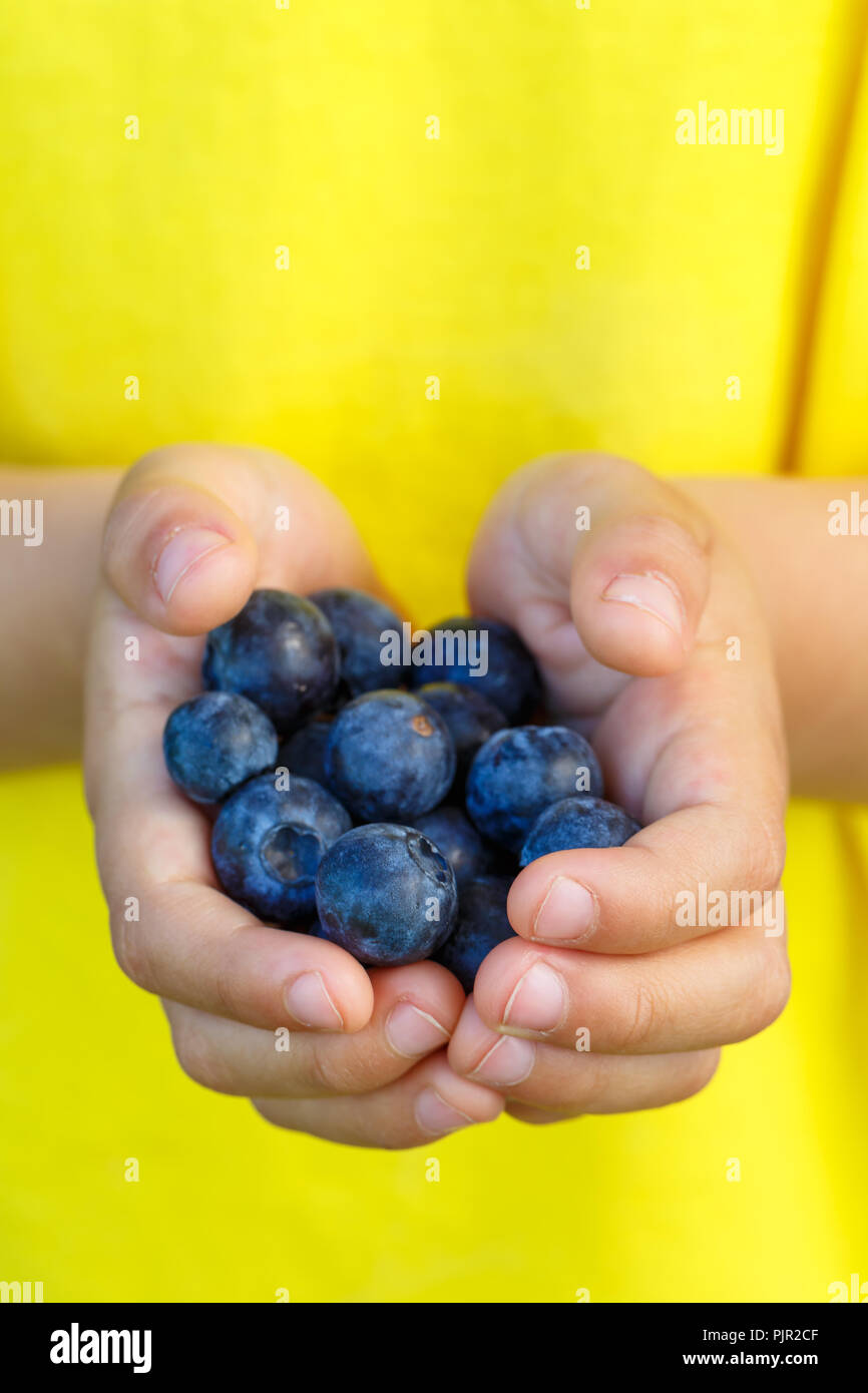 Blueberries berry fruits blueberry berries fruit summer hands holding portrait format child kid