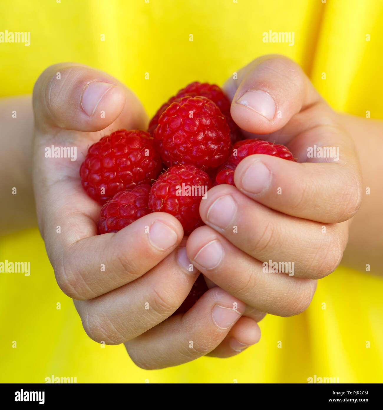 Raspberries berry fruits raspberry berries fruit summer hands holding square child kid little boy outdoor Stock Photo