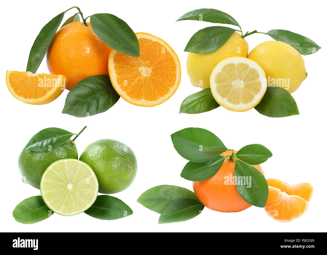 Collection of oranges mandarin lemon fruits isolated on a white background Stock Photo