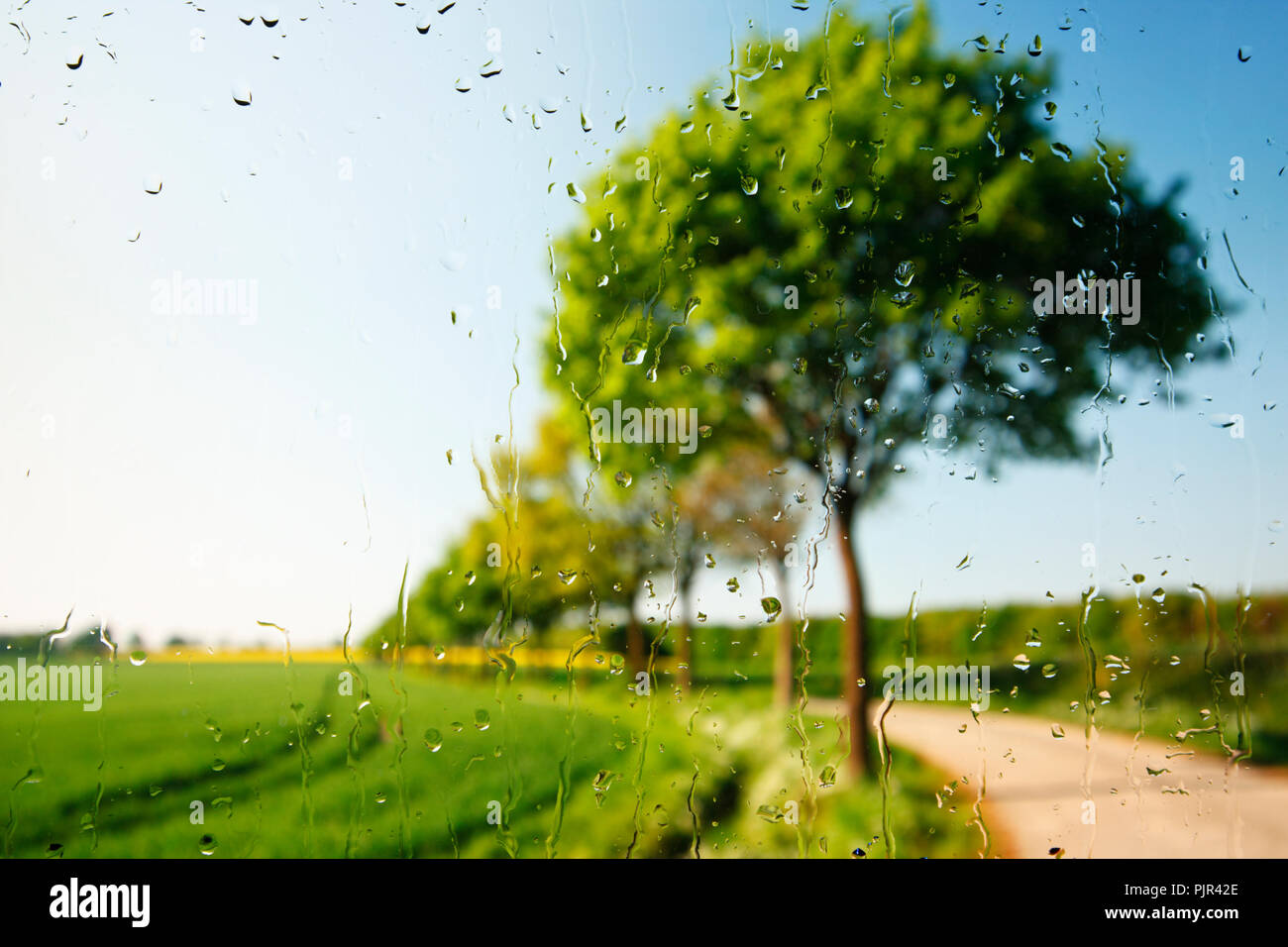 Beautiful green landscape seen through a raindrop covered window. Stock Photo