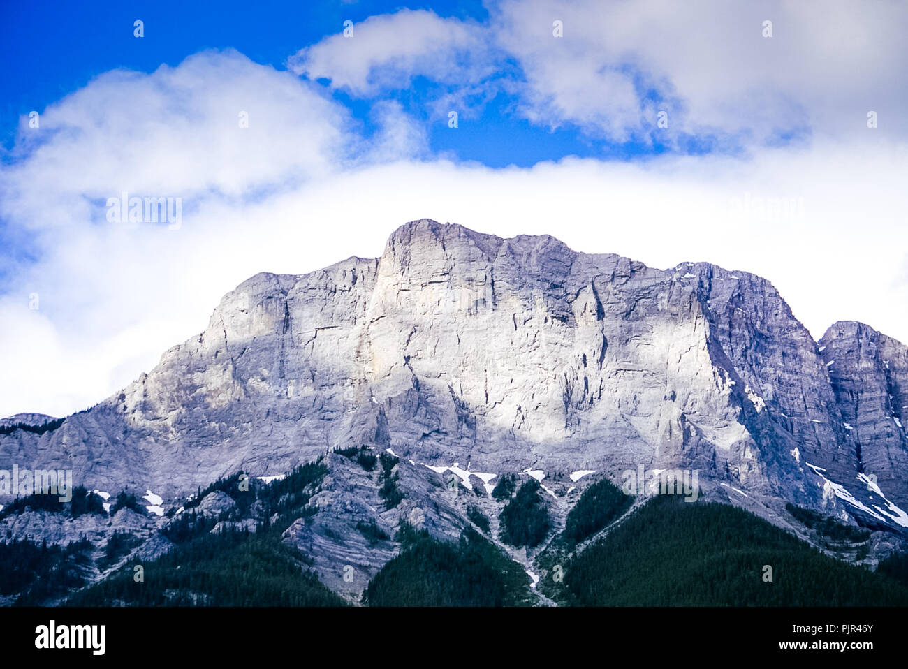 A view of the Three Sisters Mountain looking up from the the trail. Stock Photo