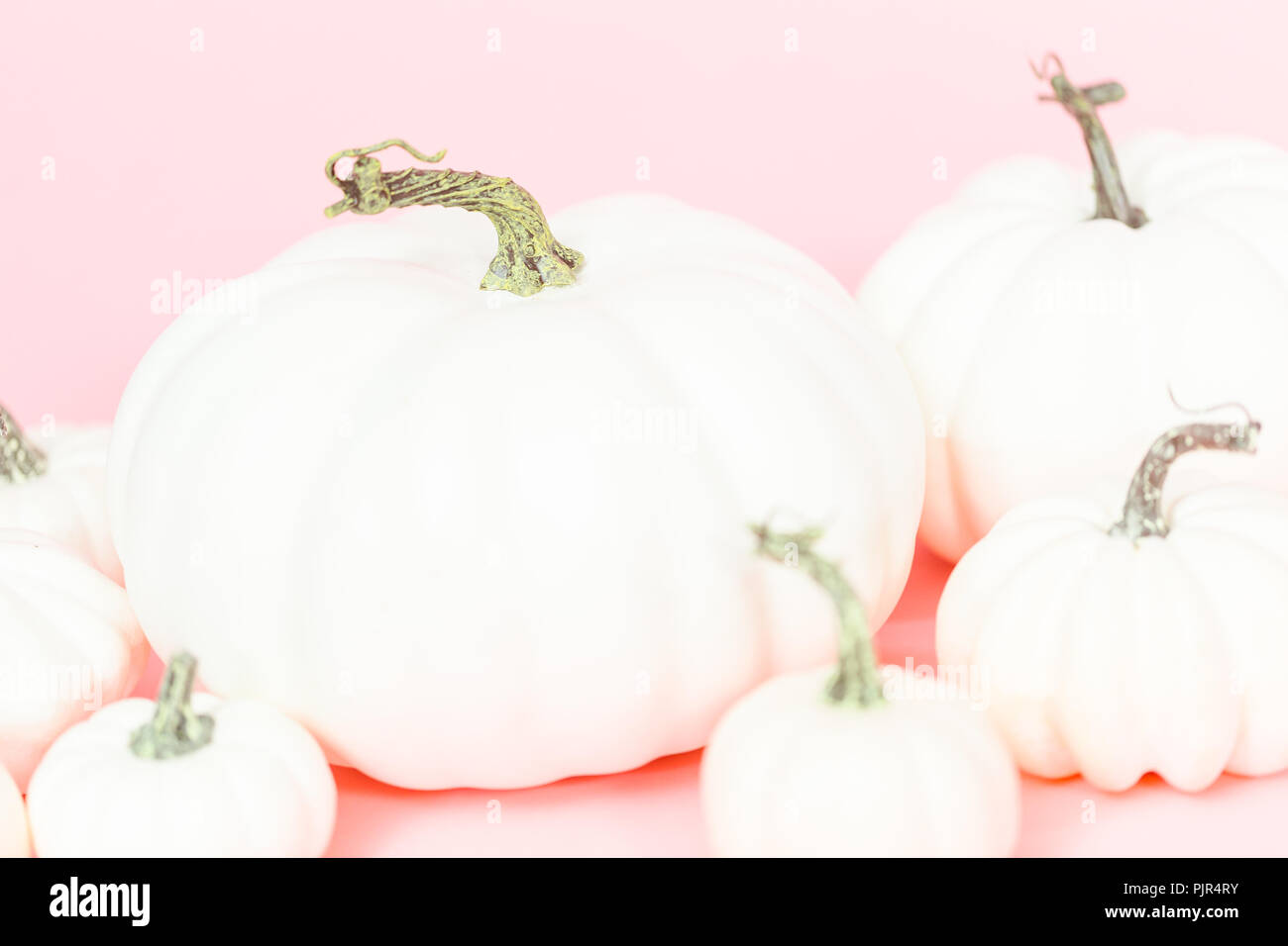 White craft pumpkins of different sizes on a pink background Stock