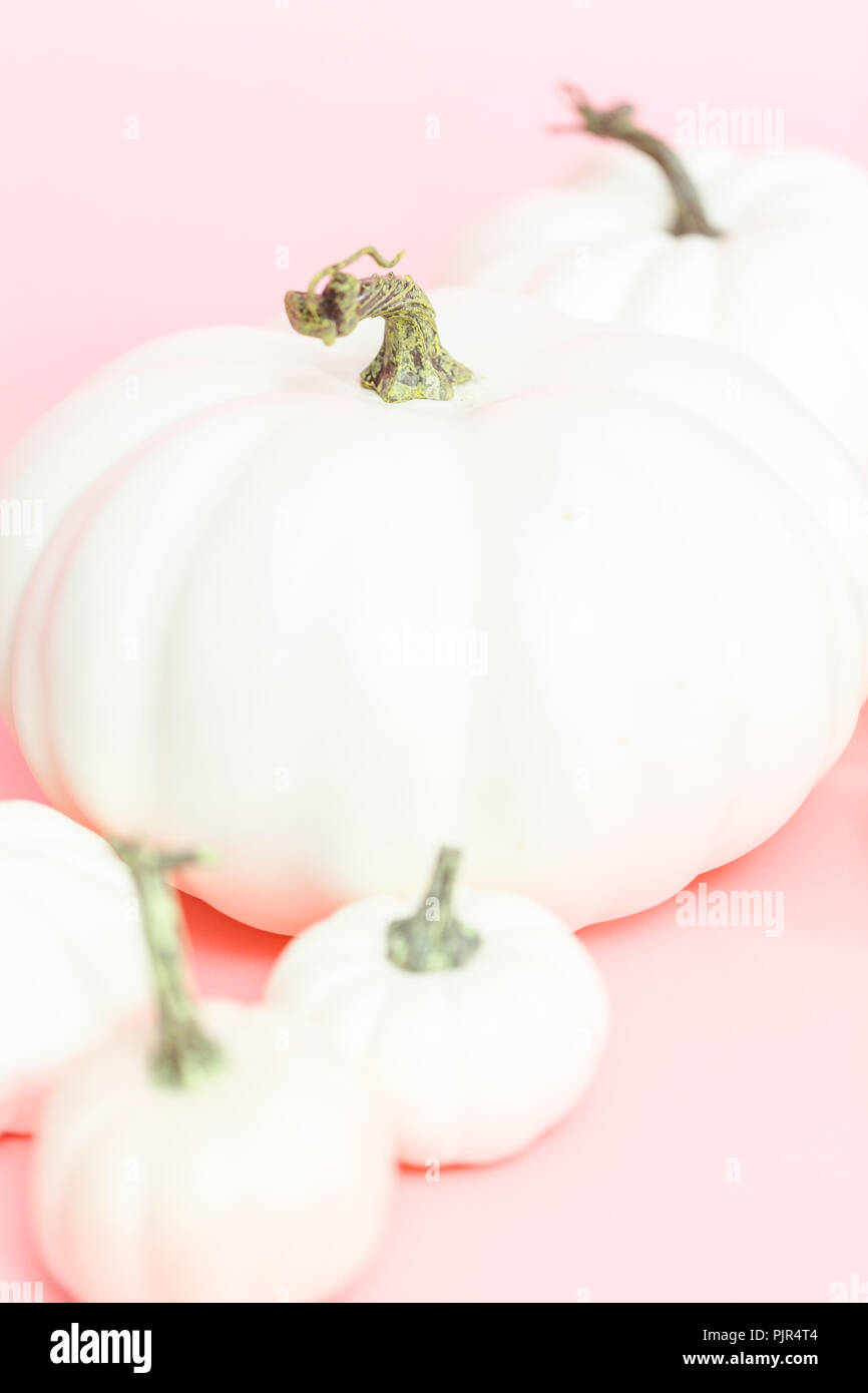 White craft pumpkins of different sizes on a pink background Stock