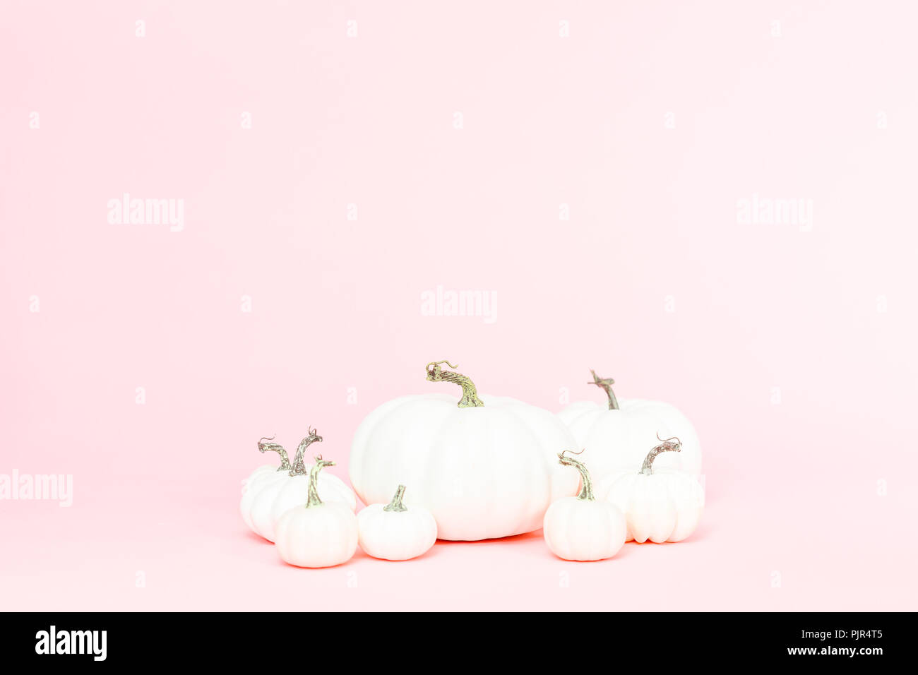 White craft pumpkins of different sizes on a pink background Stock