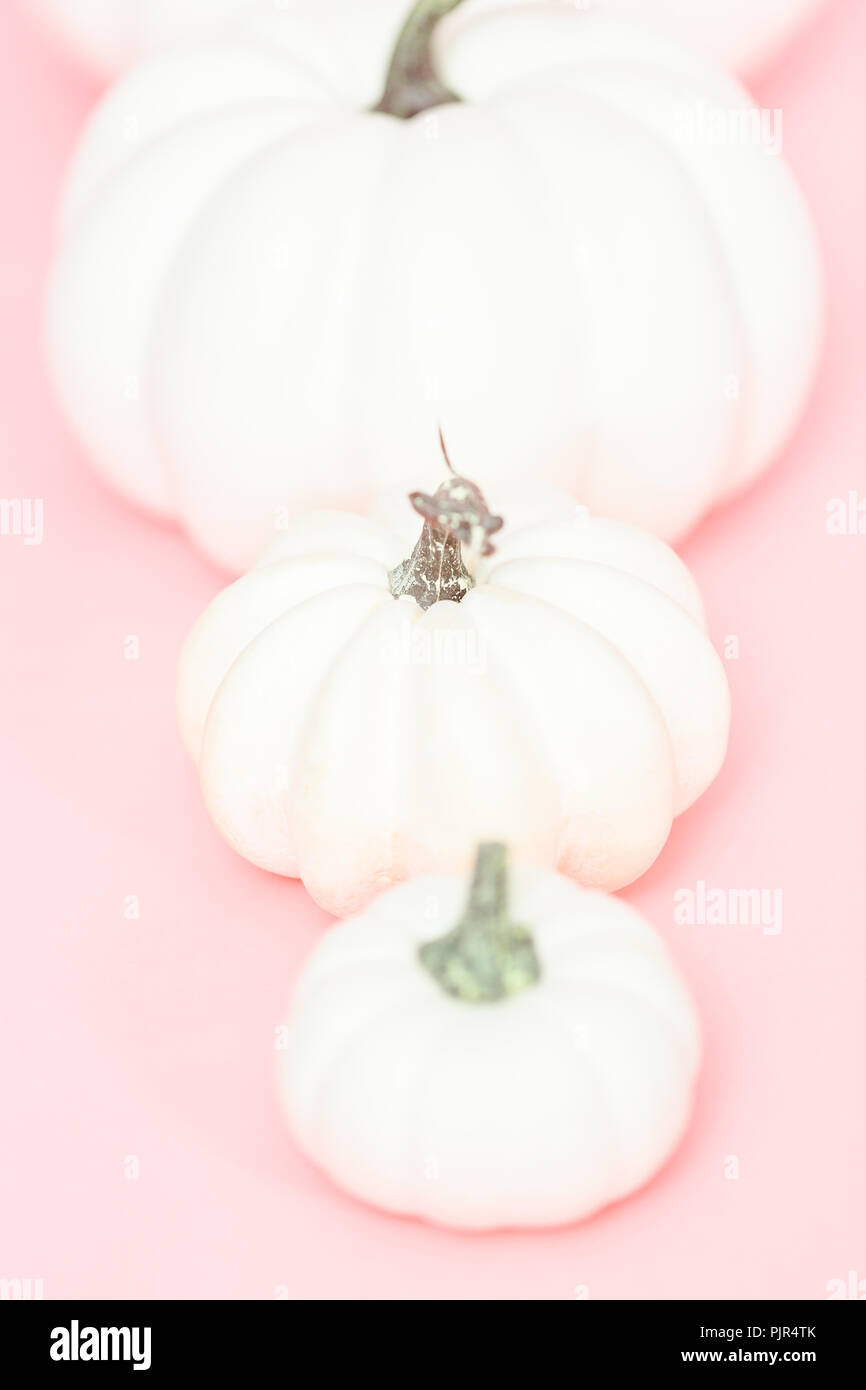 White craft pumpkins of different sizes on a pink background Stock