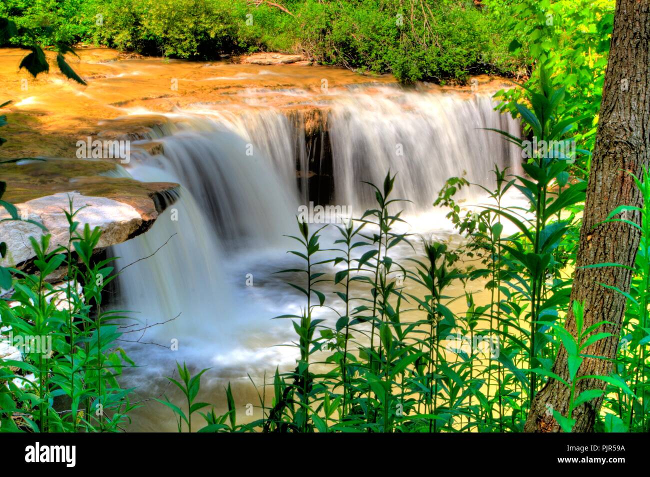 Albert falls hi-res stock photography and images - Alamy