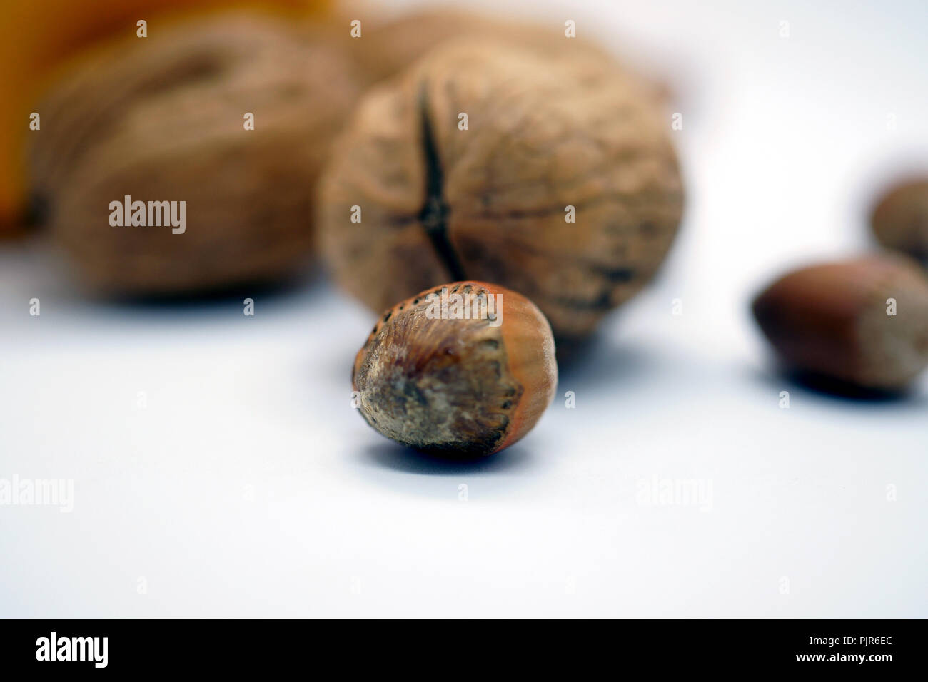 ripley walnuts and hazelnuts Stock Photo