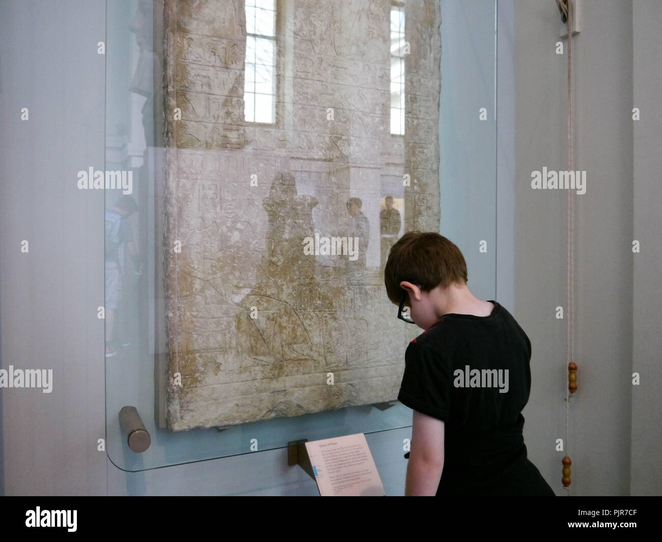 A young boy reads the information card on an exhibit at the British Museum, London, England Stock Photo