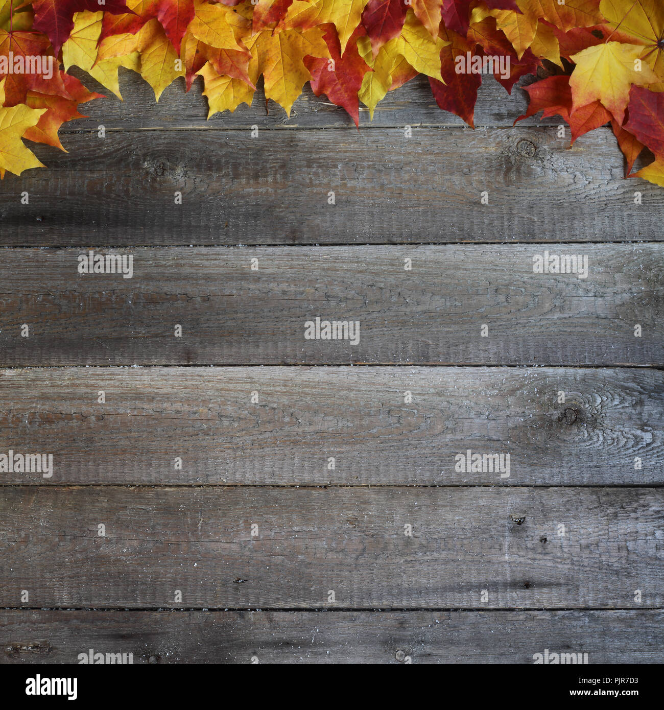 Autumn maple leaves frame over wooden background with copy space Stock ...