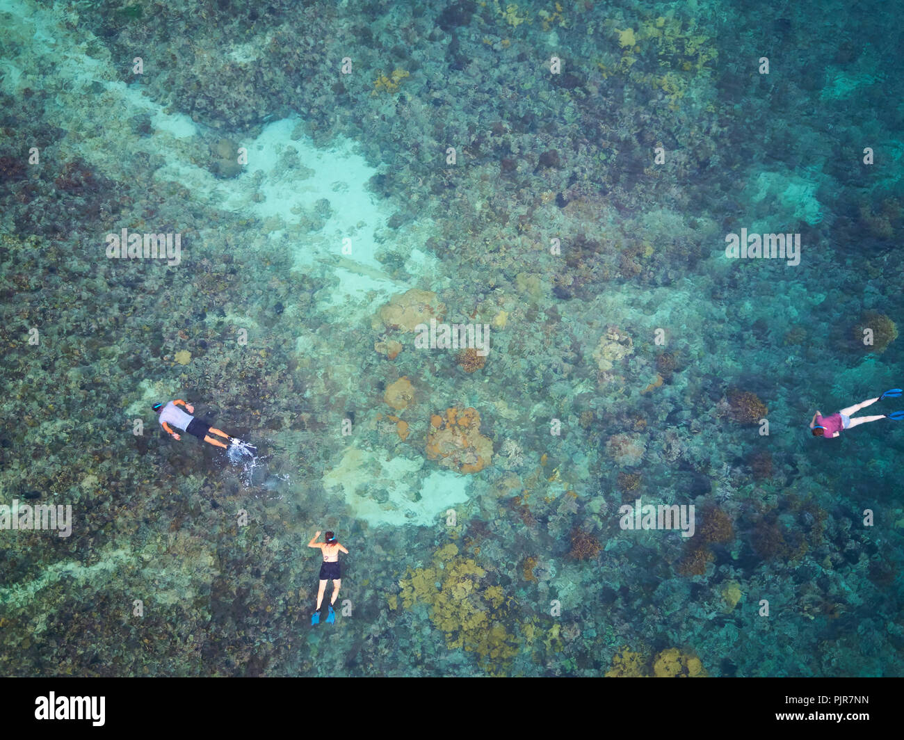 Family  doing snorkel activity on blue caribbean water above view Stock Photo