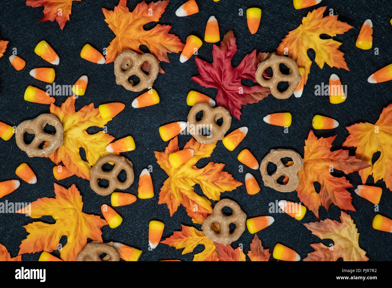 Candy corn plant hi-res stock photography and images - Alamy