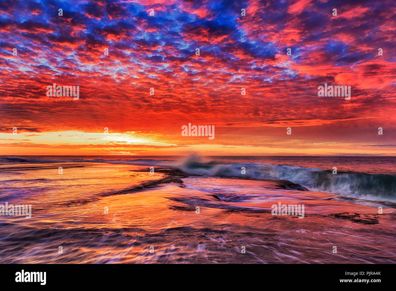 Vivid colourful sunrise over sandstone rock plateau at Mona Vale beach of Australia, Sydney, with stormy Pacific ocean waves attacking shore. Stock Photo