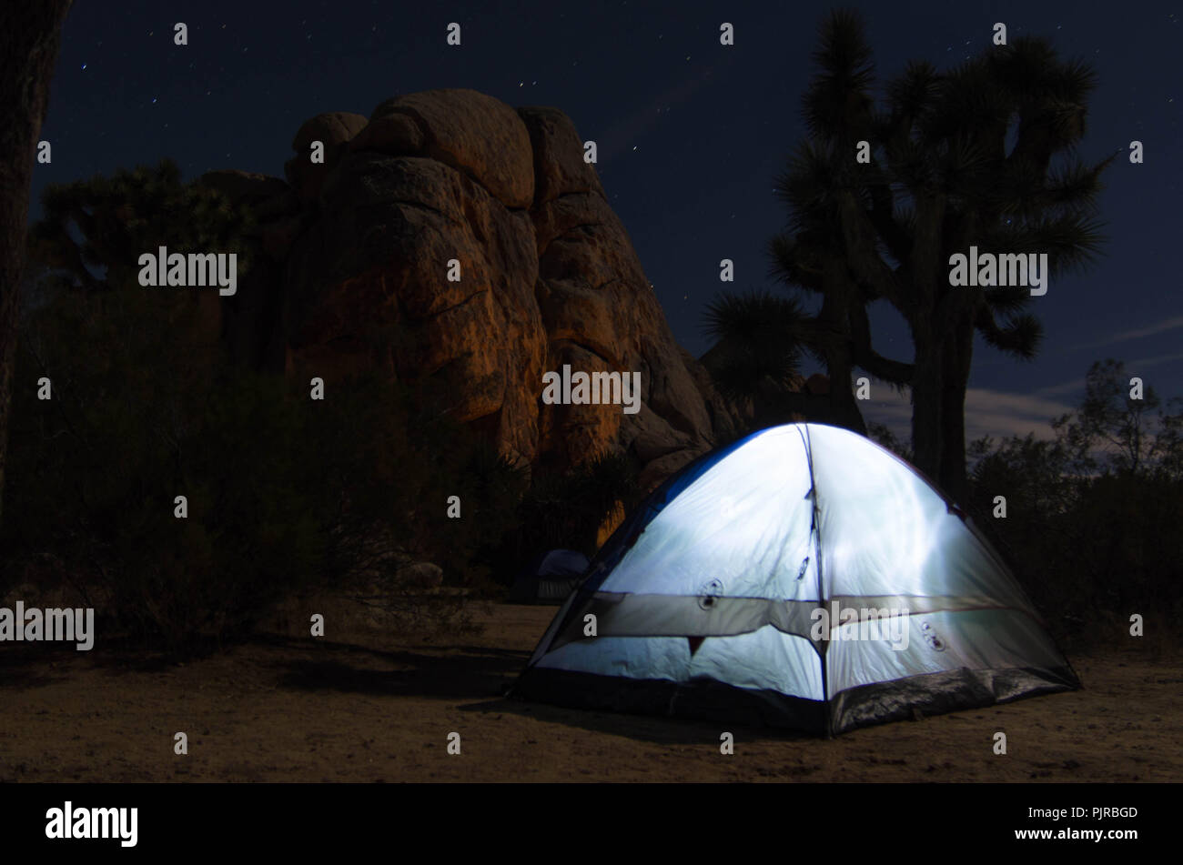 Night scene of a tent shining white at Joshua tree national park in California USA Stock Photo