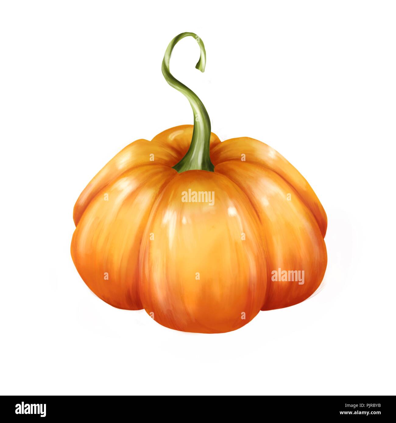 Decorative orange pumpkin, isolated on white background Stock Photo - Alamy