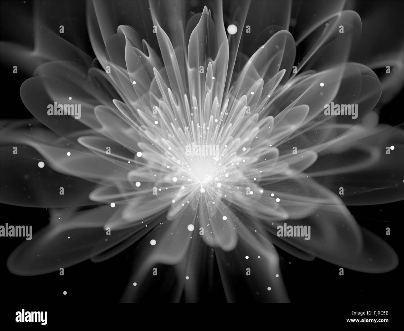 Glowing fractal flower black and white, computer generated abstract background, 3D rendering Stock Photo