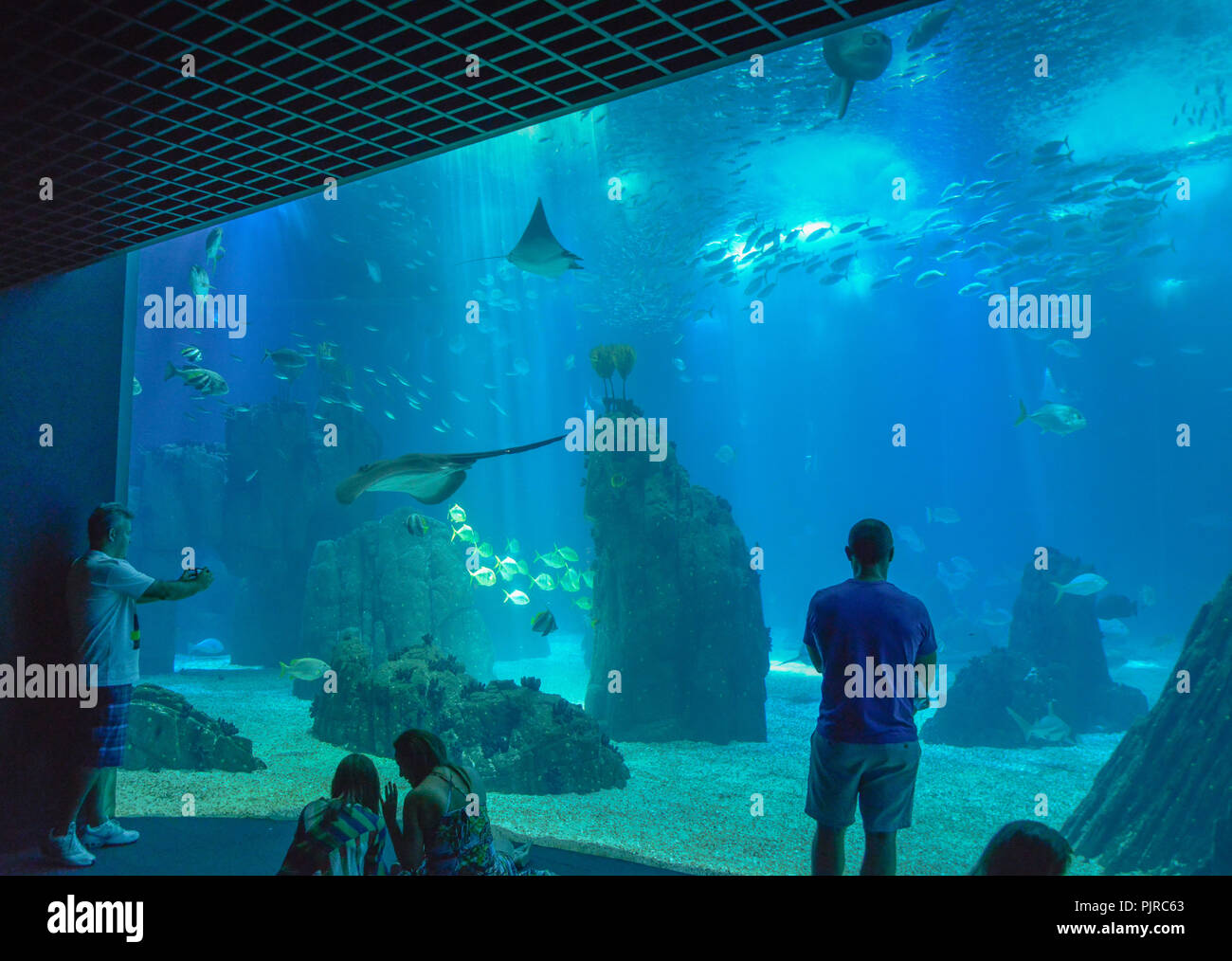 Oceanário de Lisboa, Lisbon, Portugal, ´Oceanário de Lisboa´, Lissabon Stock Photo