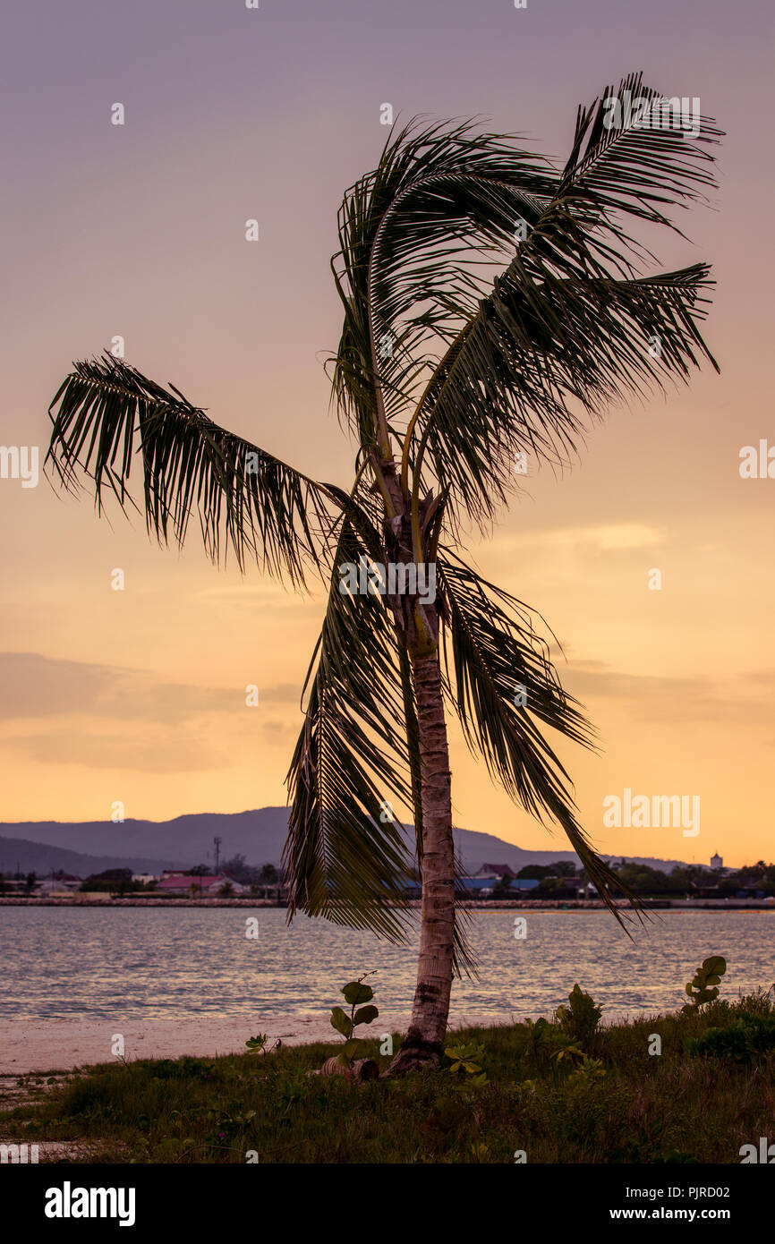 Sunset in Falmouth Jamaica. Orange Tropical Sky. White Sand Beaches in