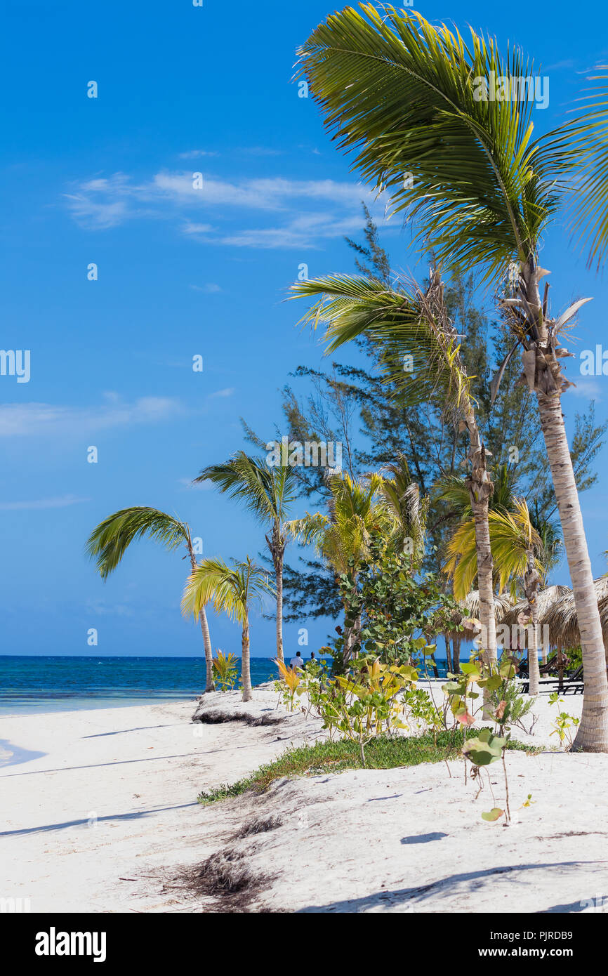 Tropical Beach in Falmouth Jamaica. Palm Trees and White Sand Beaches. Crystal Clear Blue Water. Stock Photo
