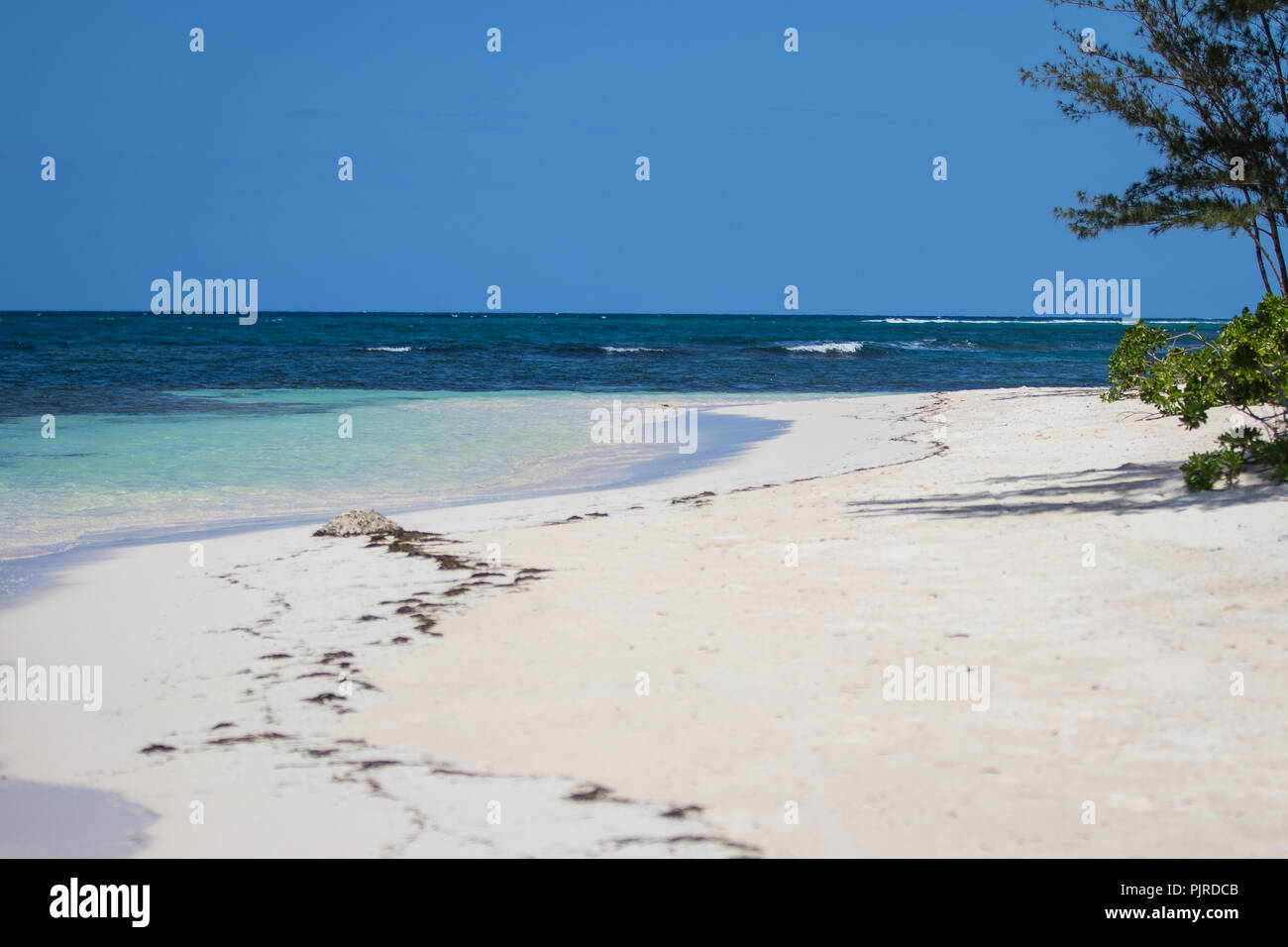 Tropical Beach in Falmouth Jamaica. Palm Trees and White Sand Beaches