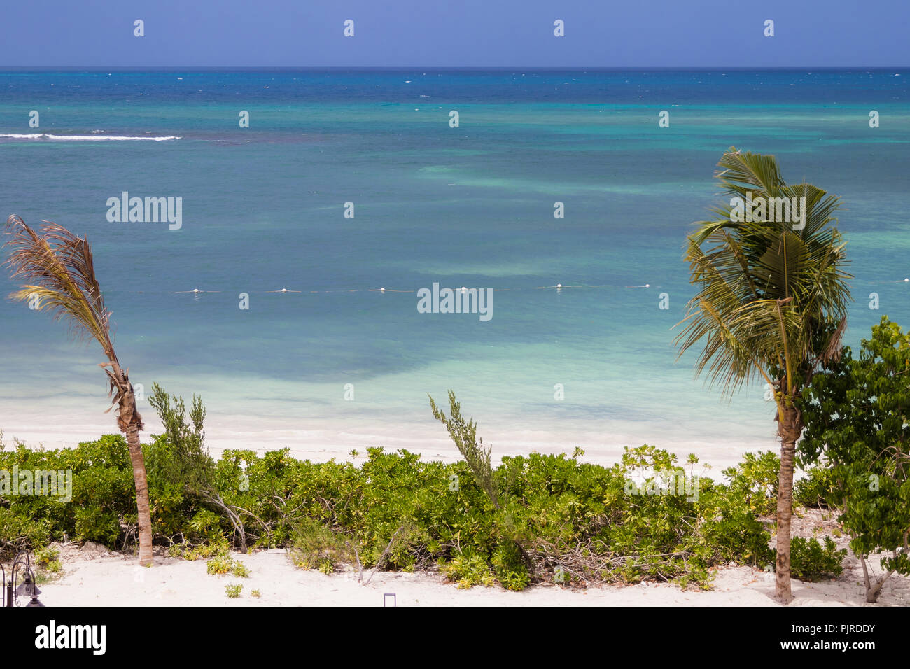Tropical Beach in Falmouth Jamaica. Palm Trees and White Sand Beaches