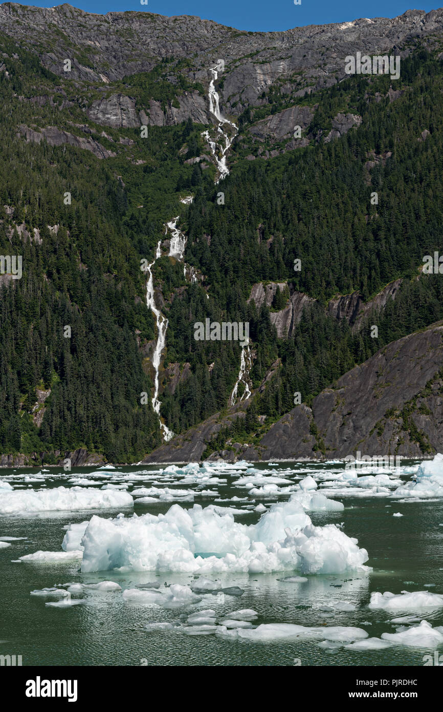 Small ice bergs known as bergy bits float in LeConte Bay near the ...