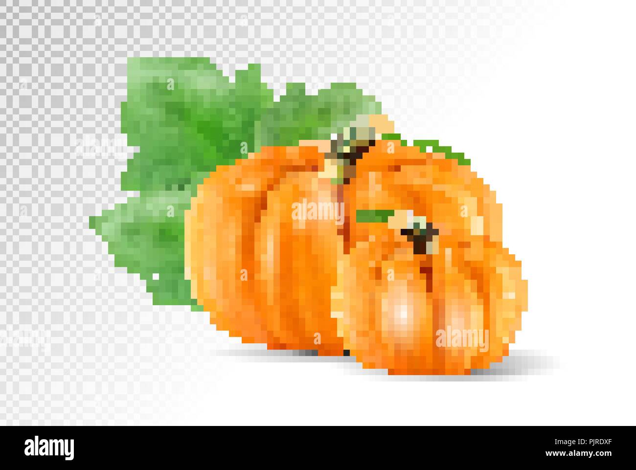 Set vegetable pumpkins with green leaves isolated on transparent ...