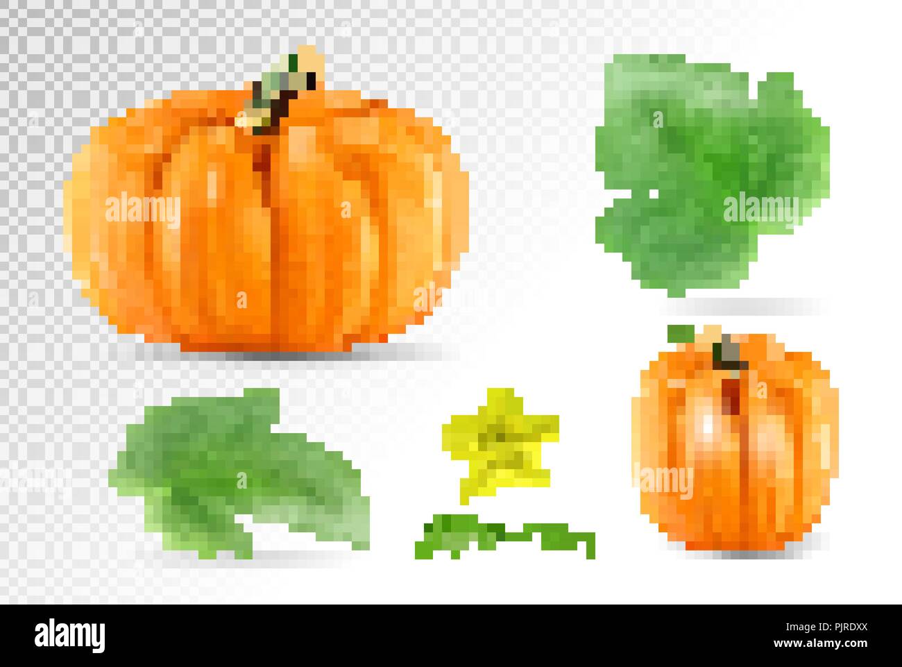 Set vegetable pumpkins with green leaves isolated on transparent ...