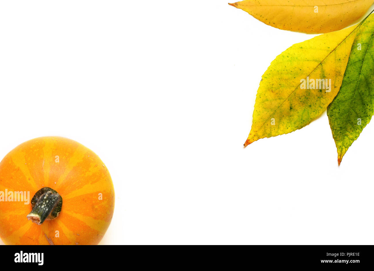 Fall leaves with pumpkin on white background Stock Photo - Alamy