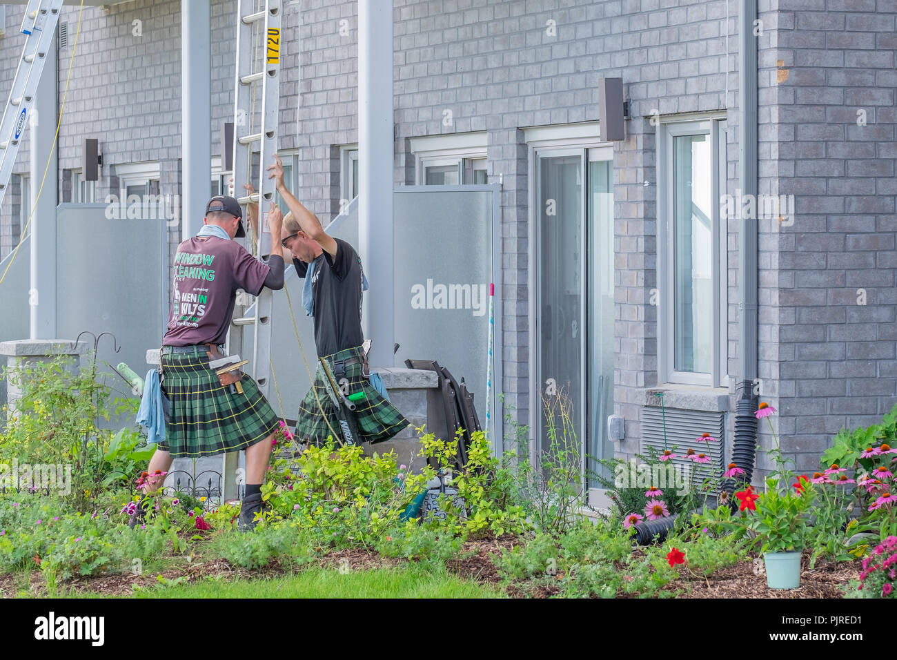 Windows cleaning crew wearing kilts set a ladder in place at a job site. Stock Photo