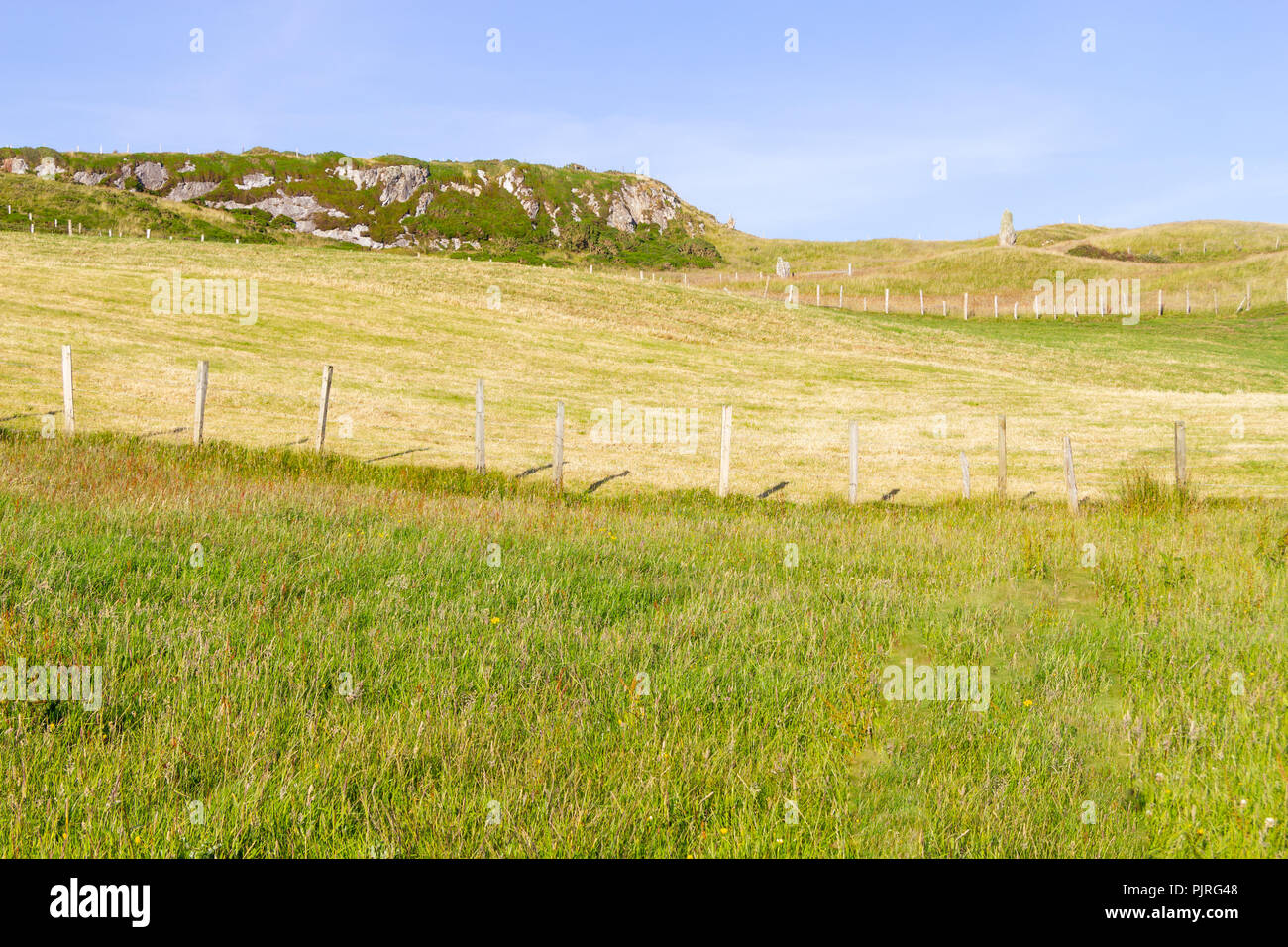 Farm field, rocks and iron fence, Clifden, Ireland Stock Photo - Alamy