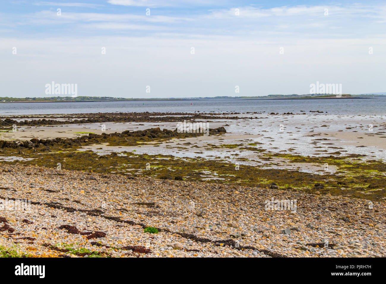 Rocks in Salthill beach, Galway, Ireland Stock Photo Alamy