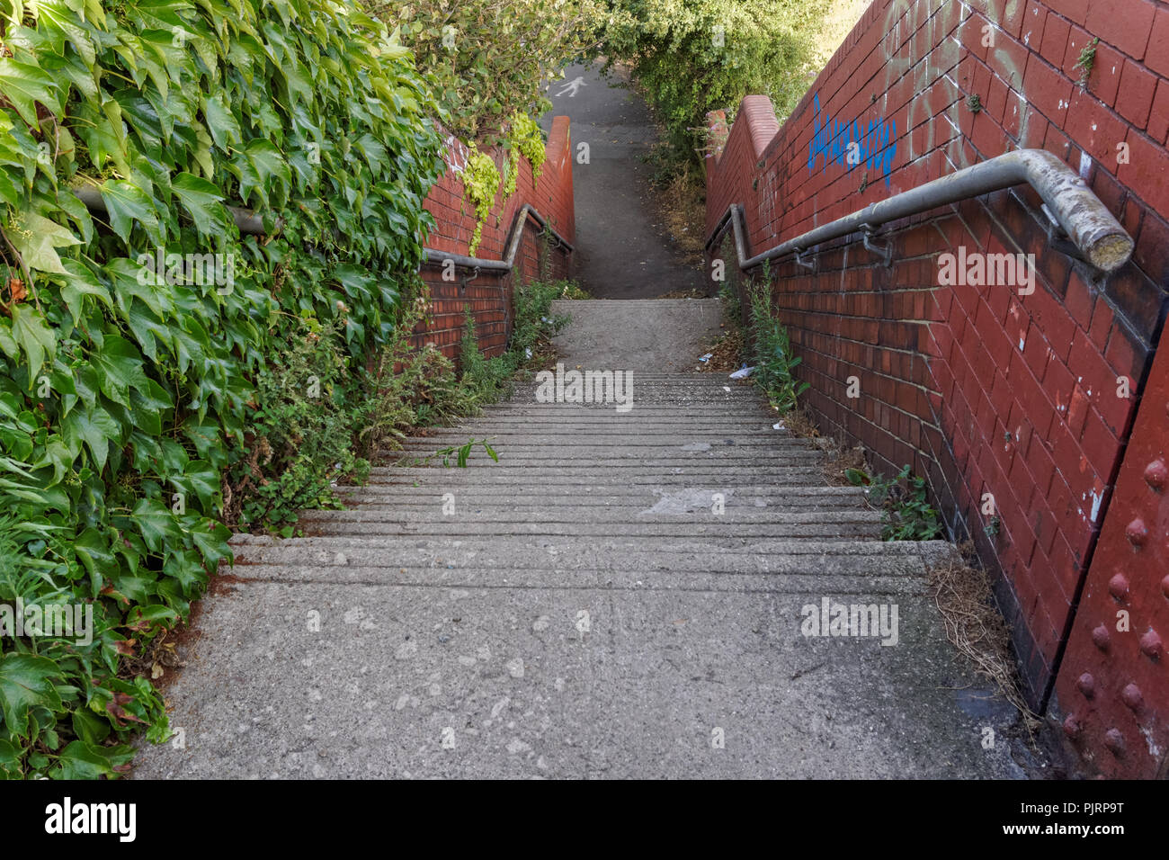 Rail staircase covered in vegetation, UK Stock Photo