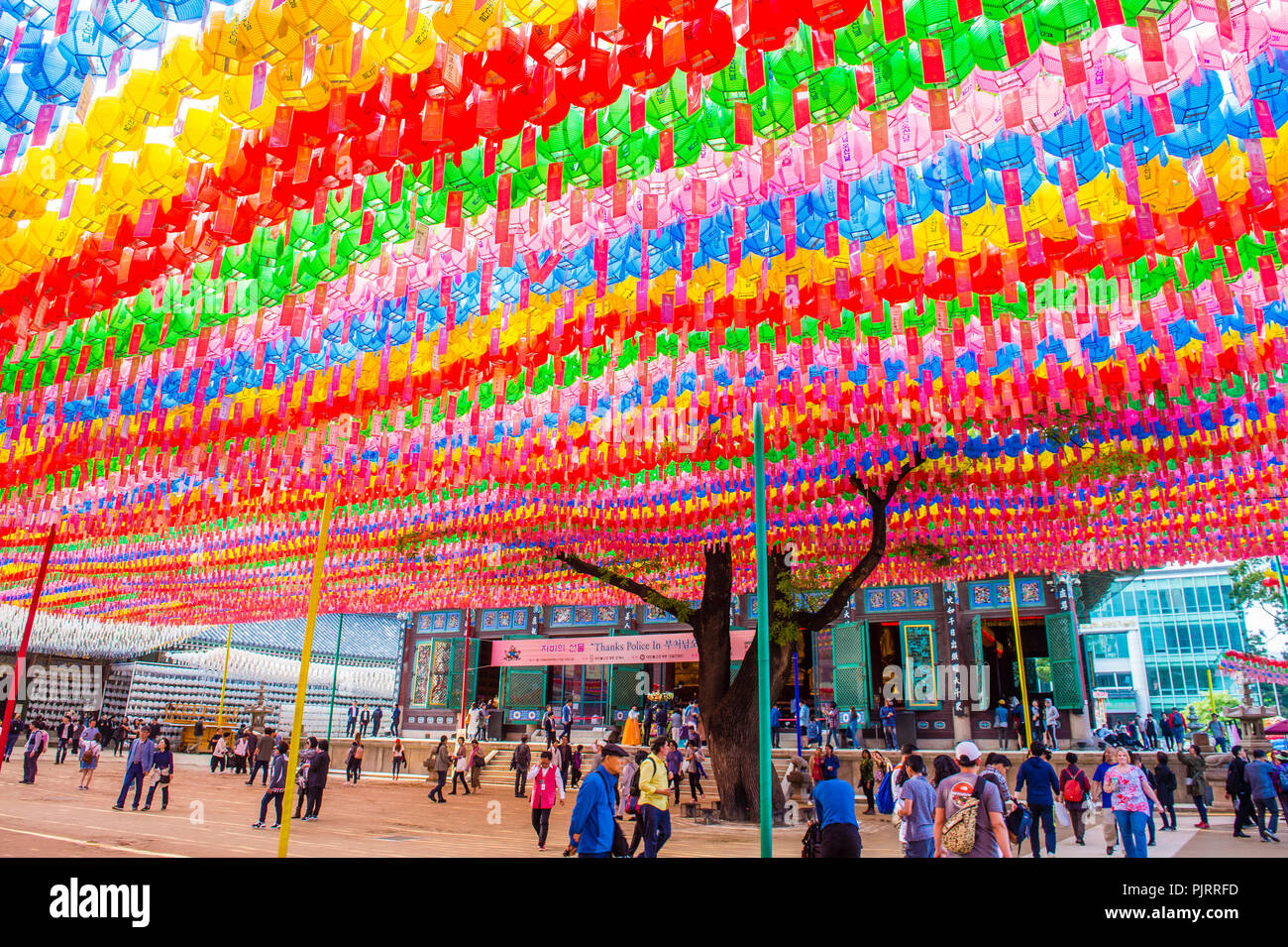 Colorful lantern decoration at Jogyesa Temple during the Lotus Lantern