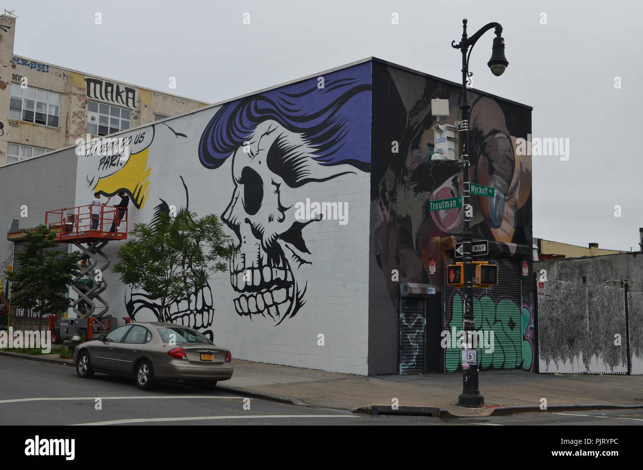 Mural art at East Williamsburg in Brooklyn. The Bushwick Collective has