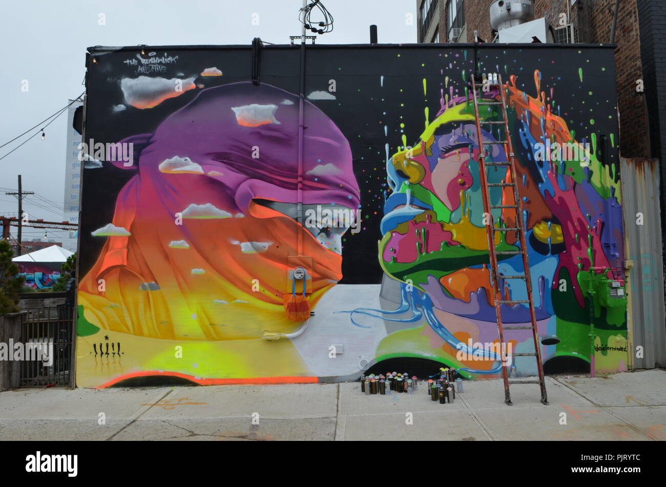 Mural art at East Williamsburg in Brooklyn. The Bushwick Collective has