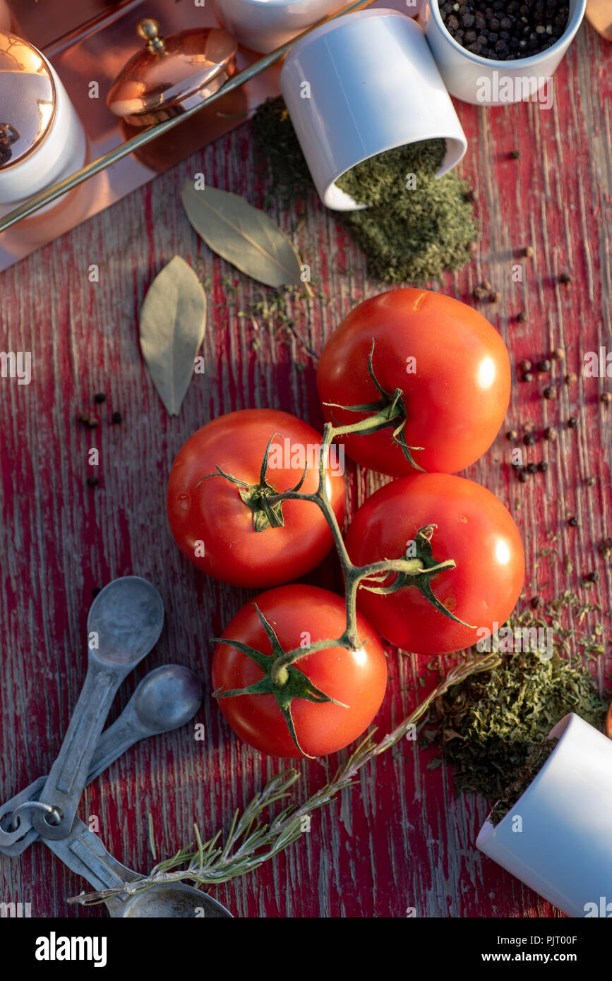 branches and leaves of Mesquite tree growing in Mojave Desert town of Pahrump, Nevada, USA Stock