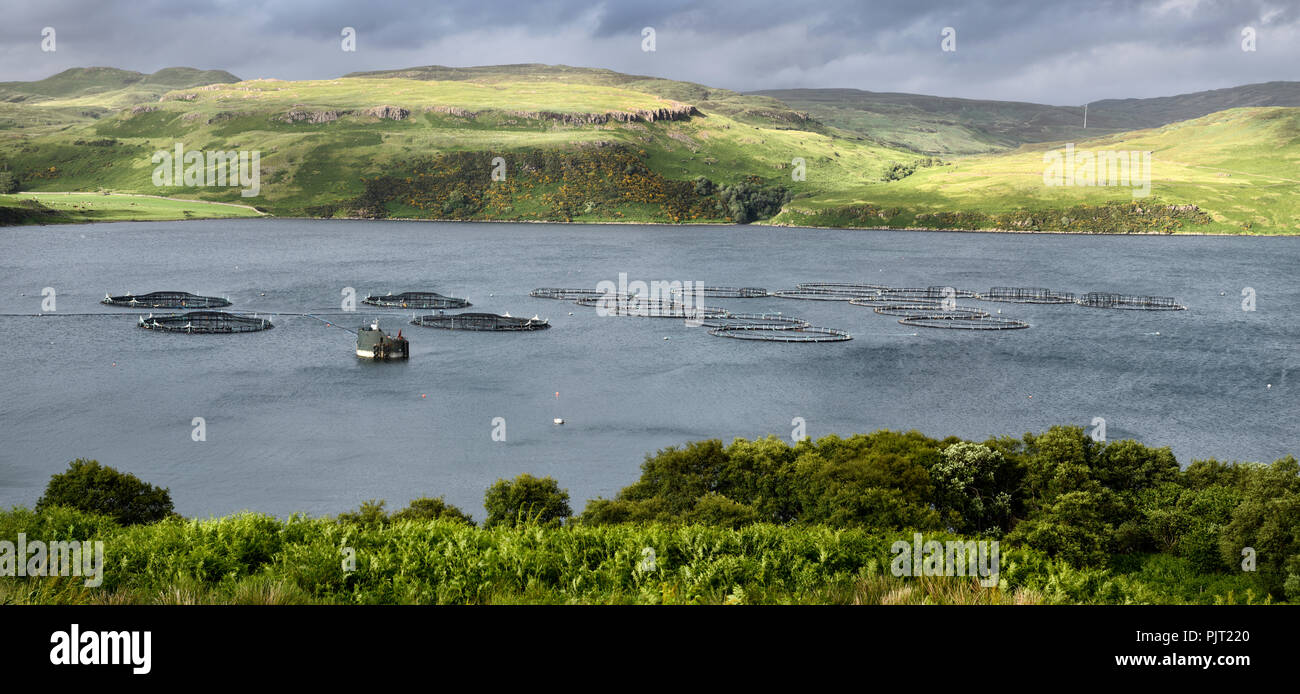 Panorama of Salmon fish farm net pens on Loch Harport with evening sun on Beinn Dhubh from Portnalong Isle of Skye Scotland UK Stock Photo