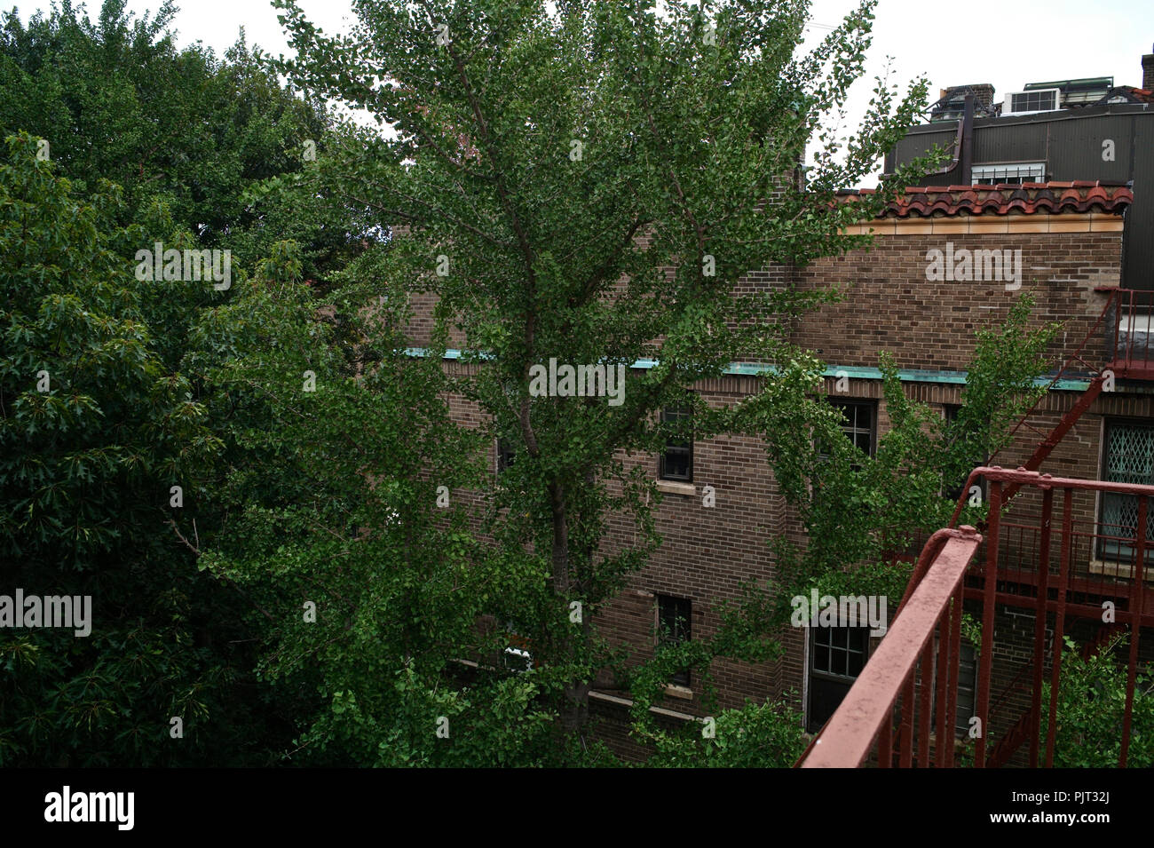 View from the top fire escape on the Towers apartment complex in Jackson Heights. Stock Photo