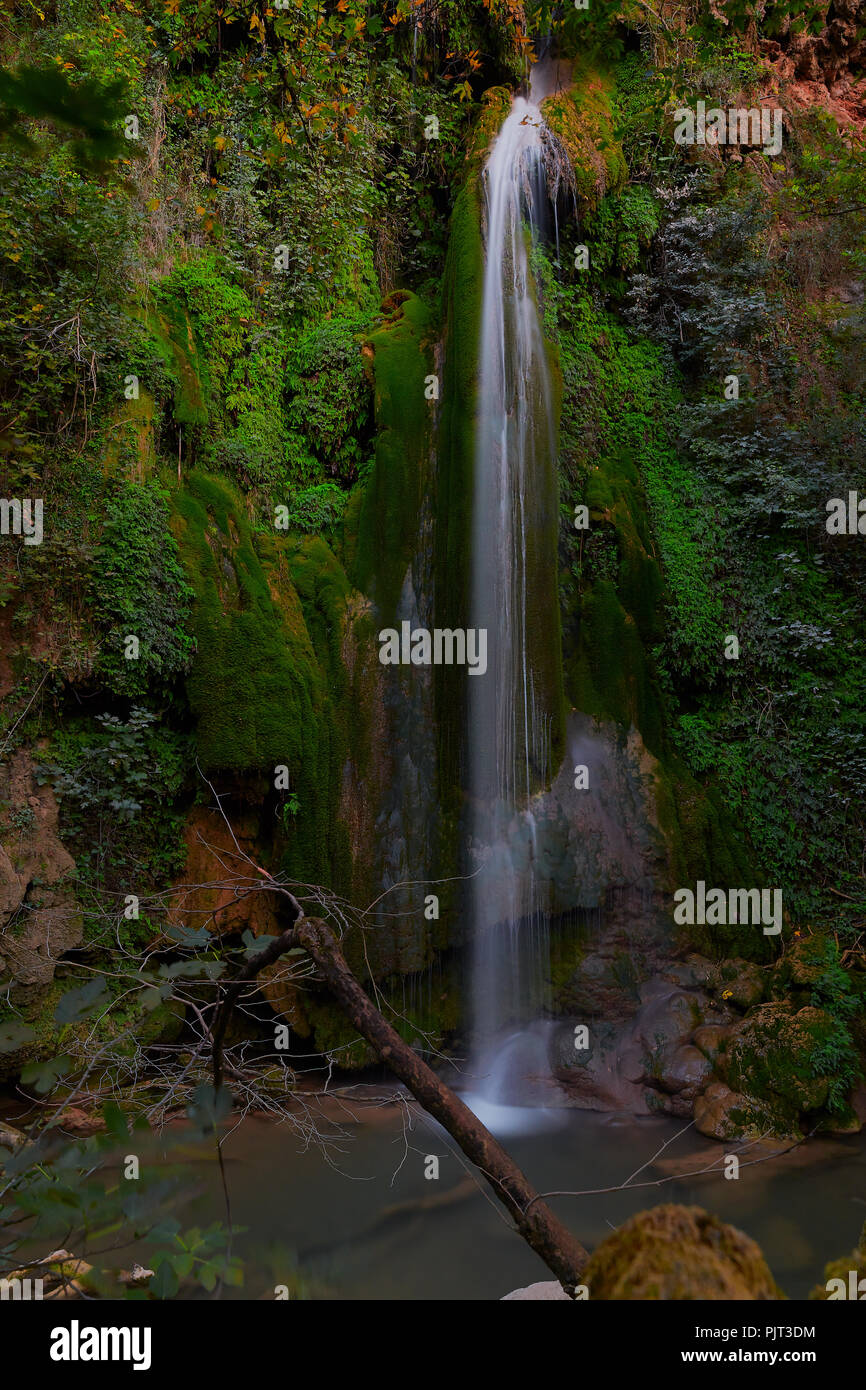 Waterfall rocks plants wall hi-res stock photography and images - Alamy