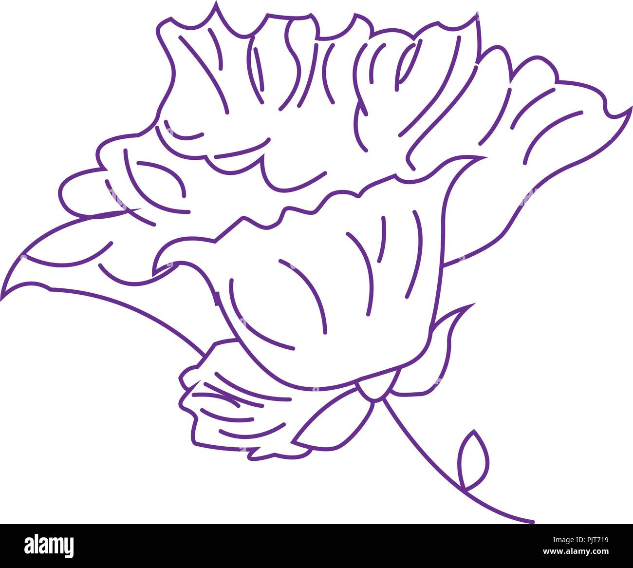 Vector illustration with iris in vintage engraving style. Stock Vector