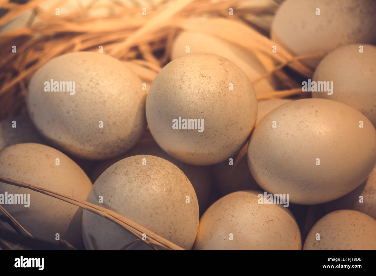 brown eggs at hay nest in chicken farm presented in the form of close ...