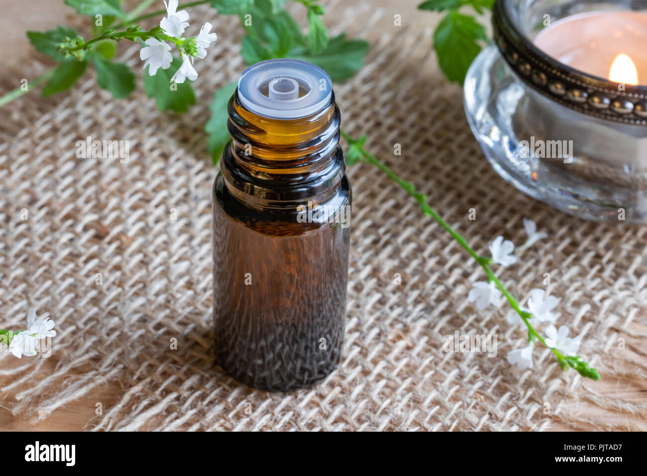 A bottle of common vervain essential oil with fresh blooming verbena