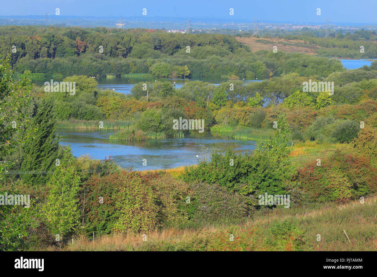 A view across RSPB Fairburn Ings in West Yorkshire Stock Photo