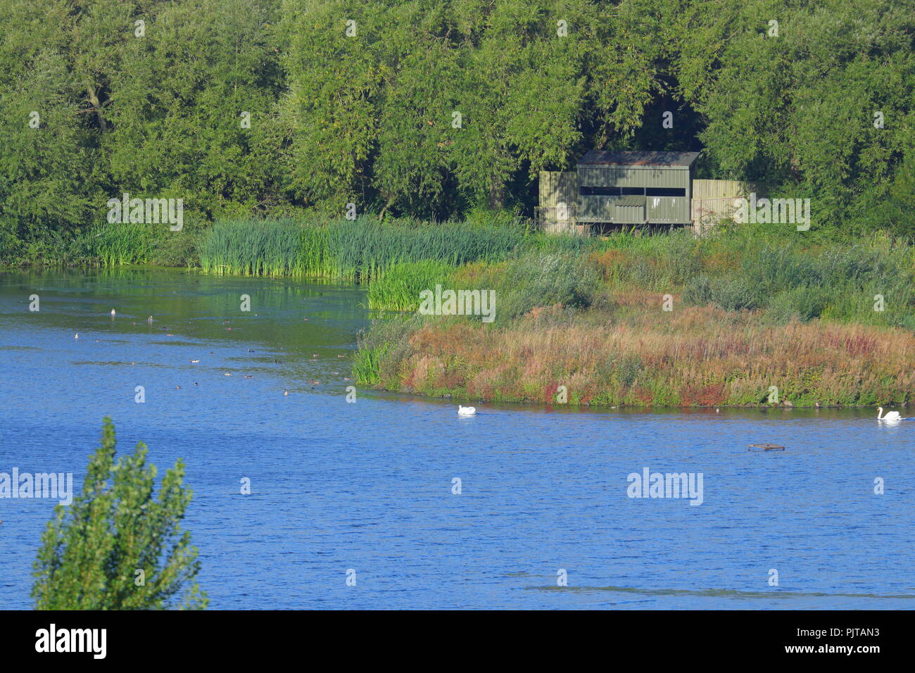 A wildlife hide on The Cut at RSPB Fairburn Ings in West Yorkshire Stock Photo