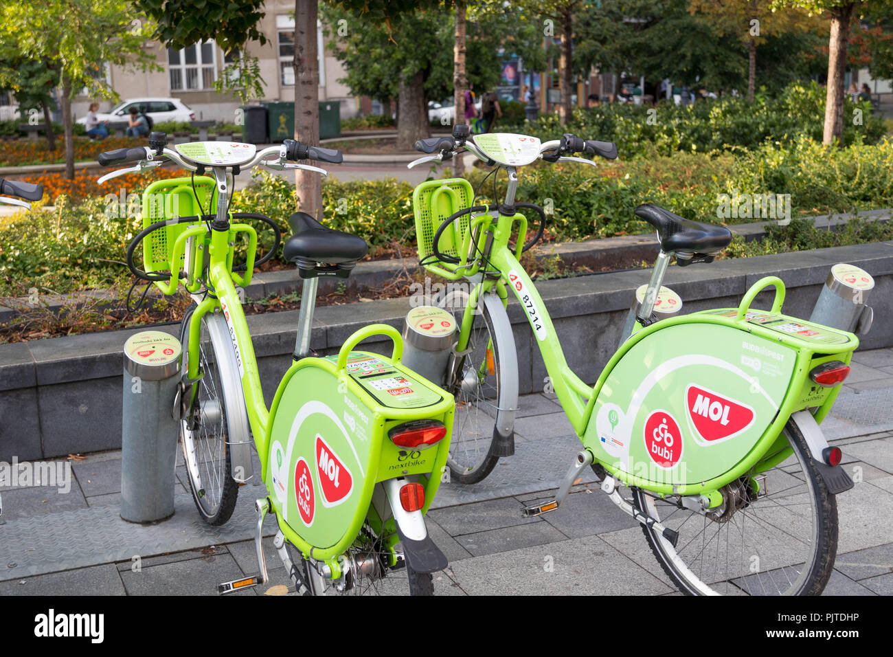 green bike rental