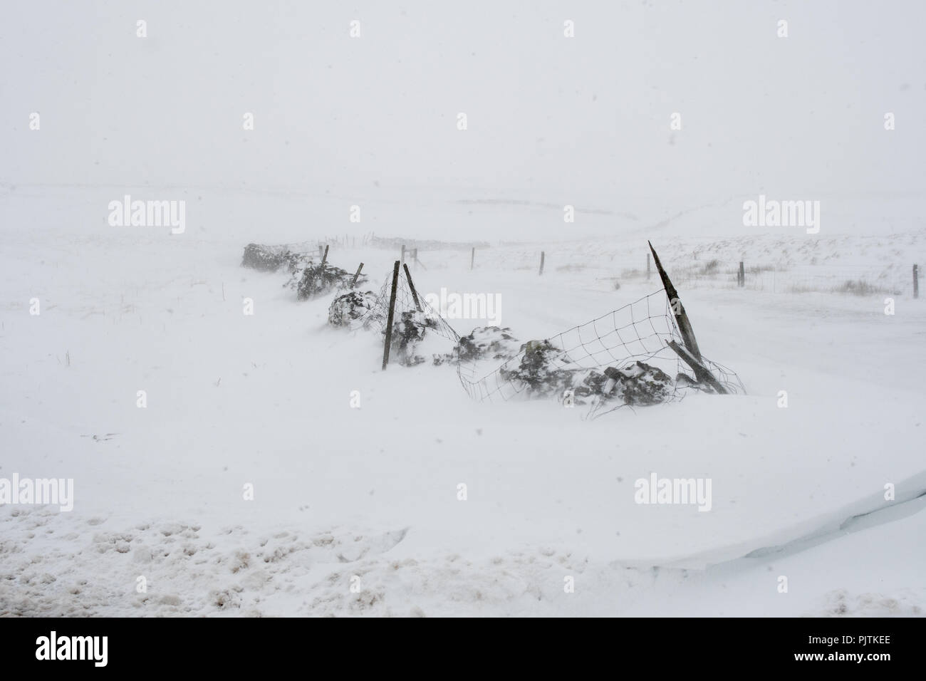 Blizzard conditions hi-res stock photography and images - Alamy
