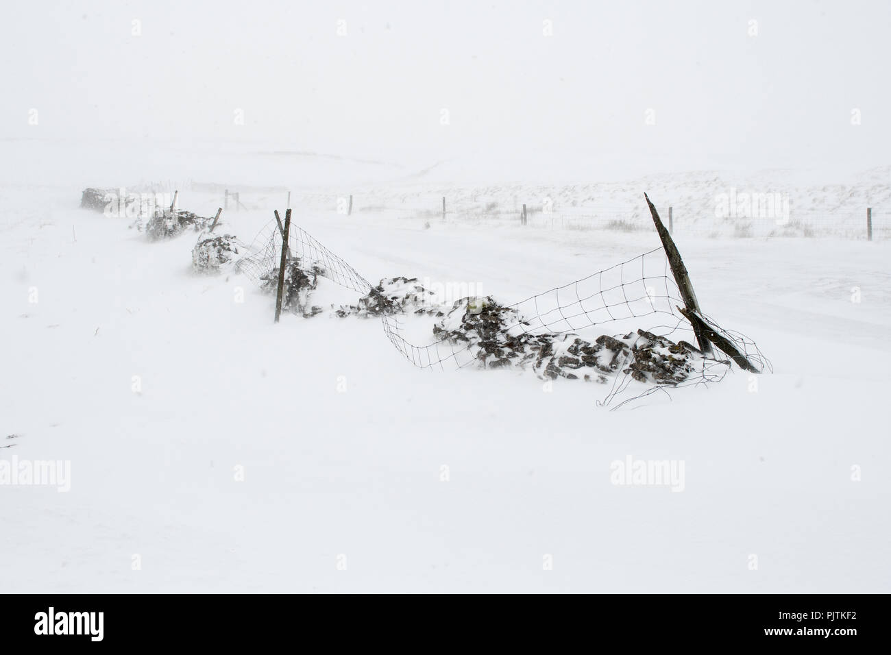 Blizzard conditions hi-res stock photography and images - Alamy