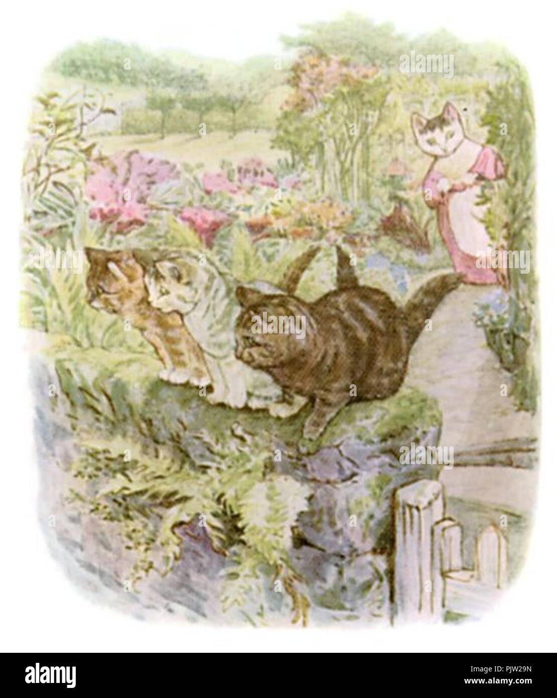 Beatrix Potter - The Tale of Tom Kitten - Illustration from p 65 Stock