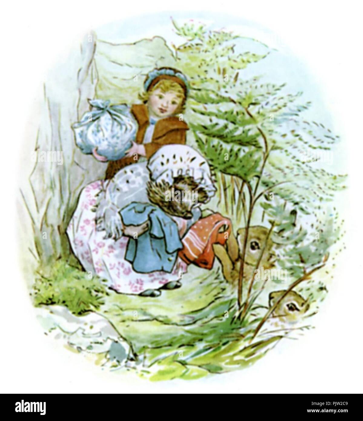 beatrix potter characters - Google Images  Beatrix potter illustrations, Beatrix  potter, Peter rabbit and friends