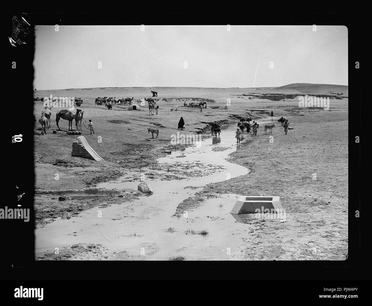 Beersheba and surroundings. (Beer Saba). Wadi Shellal. A watering